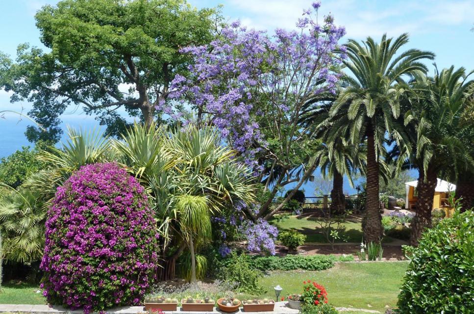 Finca Casa Vieja Hotel Santa Úrsula Kültér fotó