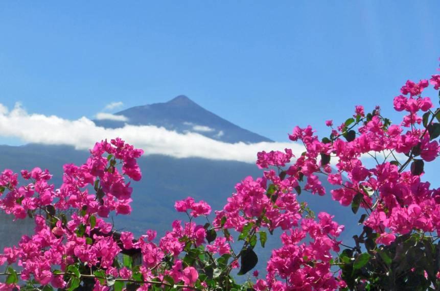 Finca Casa Vieja Hotel Santa Úrsula Kültér fotó